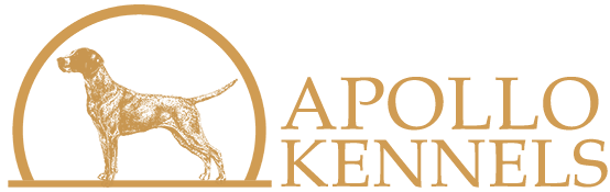 Apollo Kennels